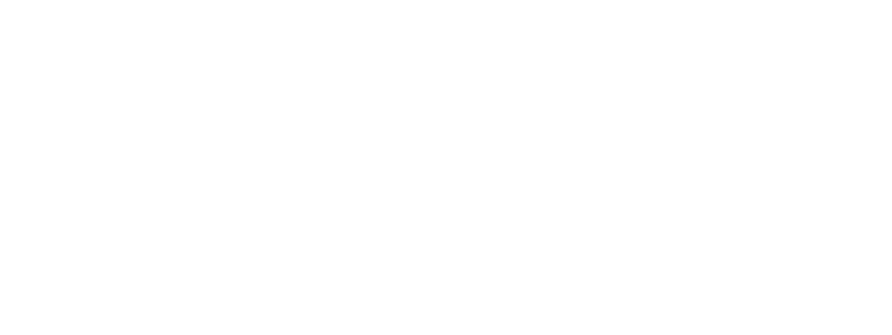 Nexxo — we make sense